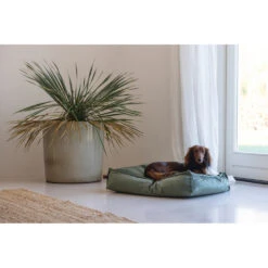 Designed By Lotte Ligkussen Nalino Hond Groen 12 Designed By Lotte Ligkussen Nalino Hond Groen -Deli Prins Winkel 1031626 5