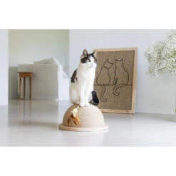 Designed By Lotte Krabplank Hout Poezels -Deli Prins Winkel 1031631 6