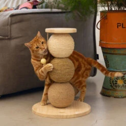 Designed By Lotte Krabbollen Hout Elio 12 Designed By Lotte Krabbollen Hout Elio -Deli Prins Winkel 1031633 5