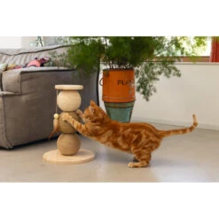 Designed By Lotte Krabbollen Hout Elio 13 Designed By Lotte Krabbollen Hout Elio -Deli Prins Winkel 1031633 6