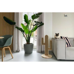 Designed By Lotte Krabpaal Hout Cactus Oze -Deli Prins Winkel 1031636 4