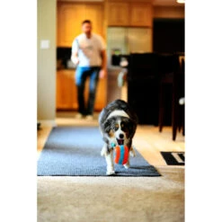 Chuckit! Chuckit Indoor Roller -Deli Prins Winkel 1033094 3