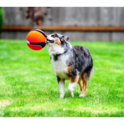 Chuckit! Chuckit Kick Fetch Small -Deli Prins Winkel 1033097 4