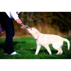 Chuckit! Chuckit Ultra Toss Medium -Deli Prins Winkel 1033117 3