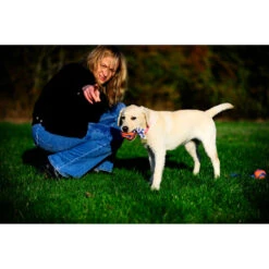 Chuckit! Chuckit Ultra Toss Medium -Deli Prins Winkel 1033117 4