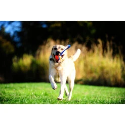 Chuckit! Chuckit Ultra Tug Large -Deli Prins Winkel 1033119 3