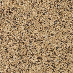 Deli Nature Kanarie Light Nummer 65 5 Deli Nature Kanarie Light Nummer 65 -Deli Prins Winkel 1035937 2