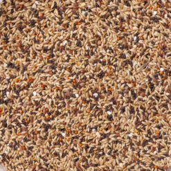 Deli Nature Sport Vinken Nummer 92 -Deli Prins Winkel 1035938 2