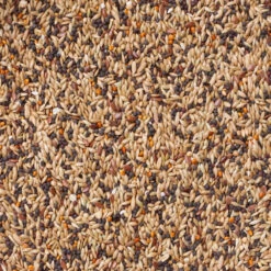 Deli Nature Winter Rust Vinken Nummer 95 -Deli Prins Winkel 1035939 2