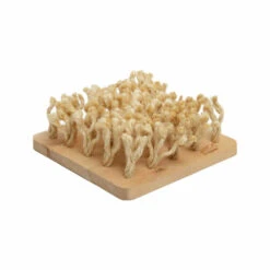 Bunny Nature Snuffelbord 24 X 9 X 24 Cm