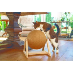 Designed By Lotte Krabbol Op Voet Xem -Deli Prins Winkel 1040300 2