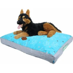 Lief! Loungekussen 2-zijdig Boys -Deli Prins Winkel 1040911 3