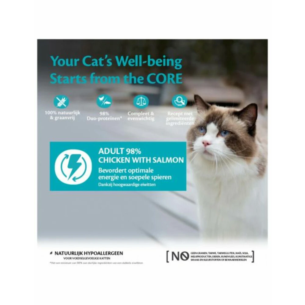 12x Wellness Core Kattenvoer 98% Recipe Kip - Zalm 4 12x Wellness Core Kattenvoer 98% Recipe Kip - Zalm - Afbeelding 2