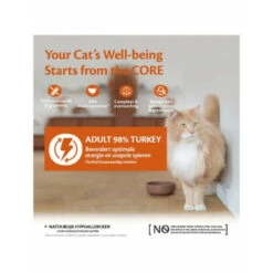 12x Wellness Core Kattenvoer 98% Recipe Kalkoen -Deli Prins Winkel 1042229 2