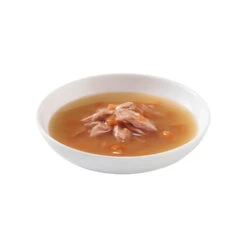 20x Schesir Kattenvoer Wilde Tonijn - Papaya Soup -Deli Prins Winkel 1050522 3