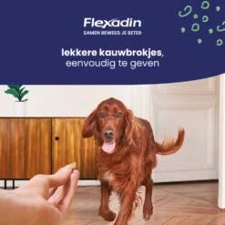 Flexadin Adult Dog Kauwbrokjes -Deli Prins Winkel 1054025 4