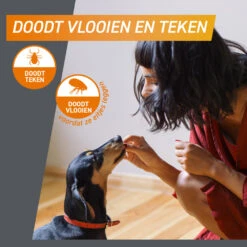 Frontpro Hond XL 25-50 Kg -Deli Prins Winkel 1057968 4