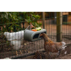 Beeztees Voerbak Voor Kippen Grijs 12 Beeztees Voerbak Voor Kippen Grijs -Deli Prins Winkel 1059398 5