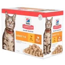 Hill's Hillu0027s Science Plan Kattenvoer Adult Multipack Kip & Kalkoen