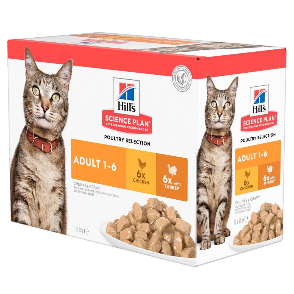 Hill's Hillu0027s Science Plan Kattenvoer Adult Multipack Kip & Kalkoen 3 Hill's Hillu0027s Science Plan Kattenvoer Adult Multipack Kip & Kalkoen
