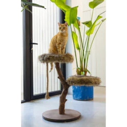 Designed By Lotte Krabmeubel Hout Aviva 10 Designed By Lotte Krabmeubel Hout Aviva -Deli Prins Winkel 1070250 3