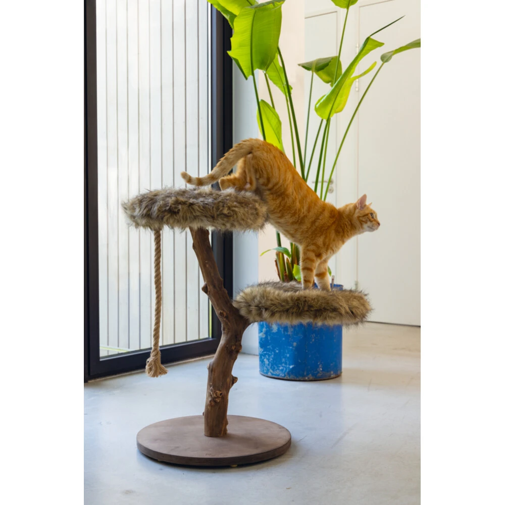 Designed By Lotte Krabmeubel Hout Aviva 6 Designed By Lotte Krabmeubel Hout Aviva - Afbeelding 4