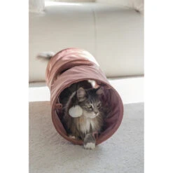 Designed By Lotte Kattentunnel Cylla Roze -Deli Prins Winkel 1070415 5