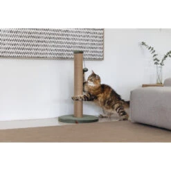 Designed By Lotte Krabpaal Yenna Groen -Deli Prins Winkel 1070424 4