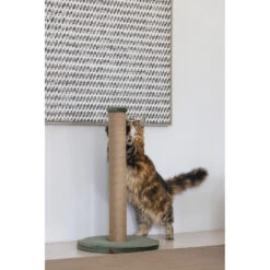 Designed By Lotte Krabpaal Yenna Groen -Deli Prins Winkel 1070424 5