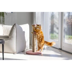 Designed By Lotte Krabpaal Yenna Roze -Deli Prins Winkel 1070425 4