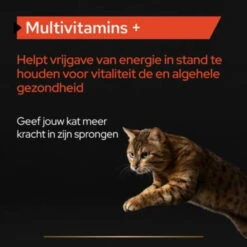 Pro Plan Supplement Poeder Voor Katten Multivitamine -Deli Prins Winkel 1073847 4