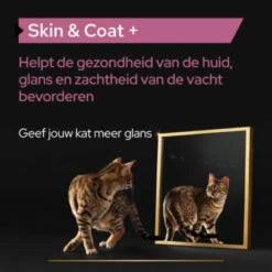 Pro Plan Supplement Olie Voor Katten Skin & Coat -Deli Prins Winkel 1073849 4