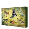 Baza Bird-Buffet Advent Kalender Green Garden -Deli Prins Winkel 1075224
