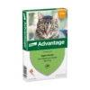 Advantage Anti Vlooiendruppels Kat Tot 4 Kg 1 Advantage Anti Vlooiendruppels Kat Tot 4 Kg -Deli Prins Winkel 701808