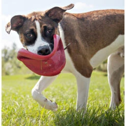 Kong Flyer Frisbee Rood -Deli Prins Winkel 703705 3