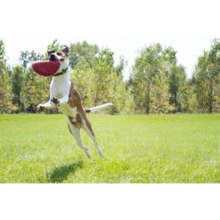 Kong Flyer Frisbee Rood -Deli Prins Winkel 703705 4