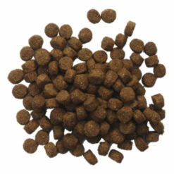 BF Petfood Krokant Hondenvoer -Deli Prins Winkel 703823 2