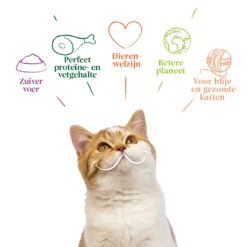 16x Yarrah Bio Kattenvoer Chunks Kip - Kalkoen -Deli Prins Winkel 704645 4