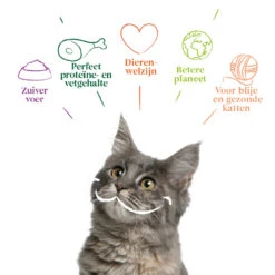 16x Yarrah Bio Kattenvoer Chunks Vis -Deli Prins Winkel 704646 4