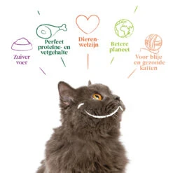 16x Yarrah Bio Kattenvoer Chunks Kip - Rund -Deli Prins Winkel 704651 4