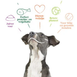 12x Yarrah Bio Hondenvoer Chunks Rund - Kip -Deli Prins Winkel 704653 4