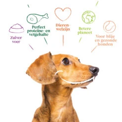 12x Yarrah Bio Hondenvoer Paté Kip - Kalkoen -Deli Prins Winkel 704656 4