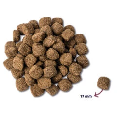 Renske Mighty Omega Plus Krokant Hondenvoer Kip -Deli Prins Winkel 751294 2