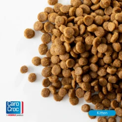 CaroCroc Kitten 33/19 Kattenvoer -Deli Prins Winkel 876649 4