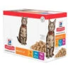 Hill's Hillu0027s Science Plan Kattenvoer Adult Multipack Classic Selection 1 Hill's Hillu0027s Science Plan Kattenvoer Adult Multipack Classic Selection -Deli Prins Winkel 954793