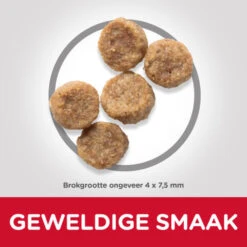 Hill's 6x Hillu0027s Science Plan Hondenvoer Mature Adult Small & Mini Kip 5 Hill's 6x Hillu0027s Science Plan Hondenvoer Mature Adult Small & Mini Kip -Deli Prins Winkel 965698 2