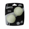Chuckit! Chuckit Max Glow Ball 2 - Pack Medium ø 6 Cm -Deli Prins Winkel 975348