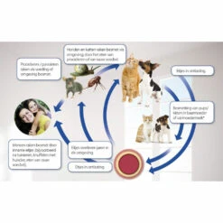 Beaphar Milquestra Ontworming Tabletten Hond 5-50kg -Deli Prins Winkel 975809 4