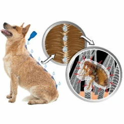 Beaphar DIMETHIcare Anti Vlooien En Teken Spray -Deli Prins Winkel 976013 3