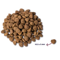 Renske Super Premium Kat Senior Kip & Eend -Deli Prins Winkel 977888 2